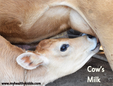 Cows Milk for babies