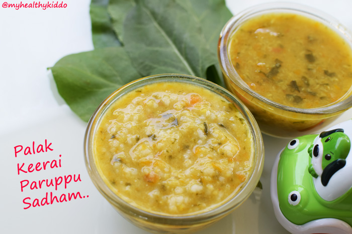 Indian Spinach-Palak Recipe for babies-4