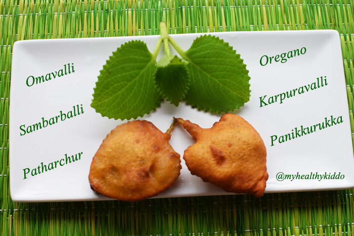 Oregano Omavalli bajji 2