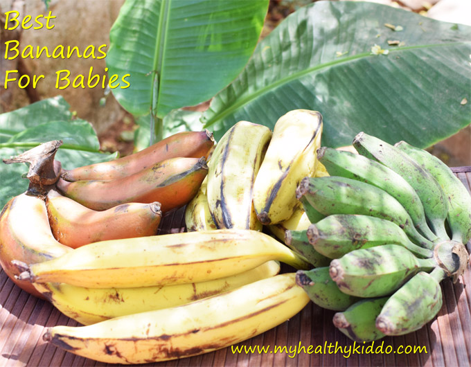 Best Bananas for Babies