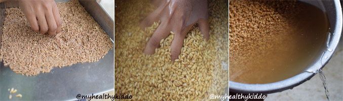 How to make Chapathi Flour at home step-1