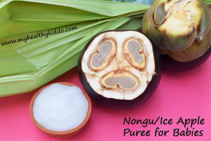 Nongu for babies-1