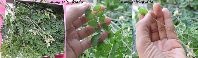 How to clean drumstick leaves step-1