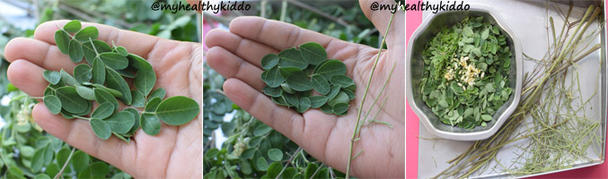 How to clean drumstick leaves step-2