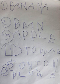 Nilaani Shopping List