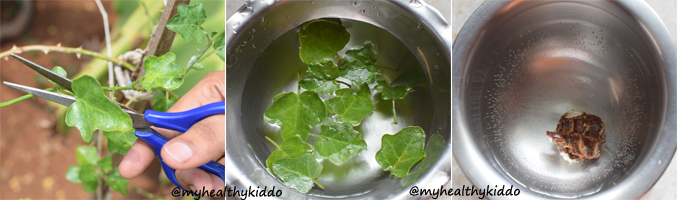 thoodhuvalai-selavu-rasam-recipe-1